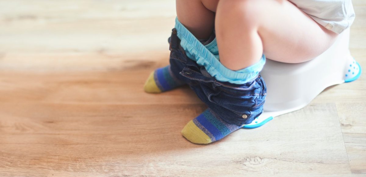Ten Steps to Potty Training Success: A Parent's Comprehensive Guide ...